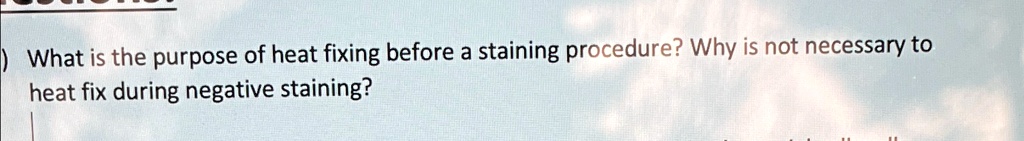 ) What is the purpose of heat fixing before a staining procedure? Why is not necessary to heat fix during negative staining?