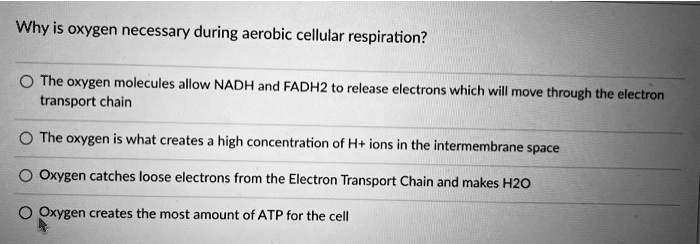 Why is oxygen necessary during aerobic cellular respiration?

The oxygen molecules allow NADH and FADH2 to release electrons which will move through the electron transport chain
The oxygen is what creates a high concentration of H+ ions in the intermembrane space
Oxygen catches loose electrons from the Electron Transport Chain and makes H2O
Oxygen creates the most amount of ATP for the cell