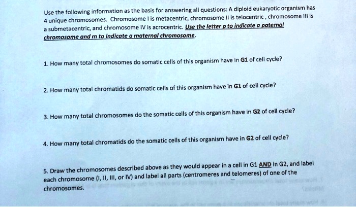 Use the following information as the basis for answering all questions: A diploid eukaryotic organism has 4 unique chromosomes. Chromosome I is metacentric, chromosome II is telocentric , chromosome III is a submetacentric, and chromosome IV is acrocentric. Use the letter p to indicate a paternal chromosome and m to indicate a maternal chromosome.

1. How many total chromosomes do somatic cells of this organism have in G1 of cell cycle?

2. How many total chromatids do somatic cells of this organism have in G1 of cell cycle?

3. How many total chromosomes do the somatic cells of this organism have in G2 of cell cycle?

4. How many total chromatids do the somatic cells of this organism have in G2 of cell cycle?

5. Draw the chromosomes described above as they would appear in a cell in G1 AND in G2, and label each chromosome (I, II, III, or IV) and label all parts (centromeres and telomeres) of one of the chromosomes.