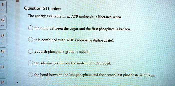 Question 5 (1 point)
The energy available in an ATP molecule is liberated when
the bond between the sugar and the first phosphate is broken.
it is combined with ADP (adenosine diphosphate).
a fourth phosphate group is added.
the adenine residue on the molecule is degraded.
the bond between the last phosphate and the second last phosphate is broken.