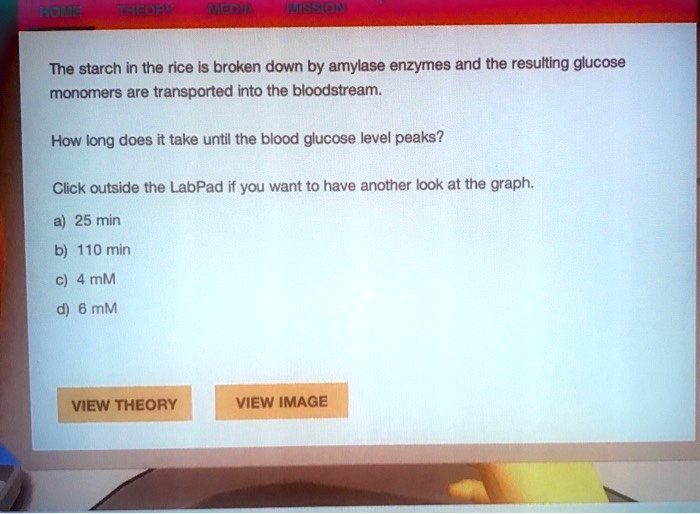 SOLVED The starch in the rice is broken down by amylase enzymes, and