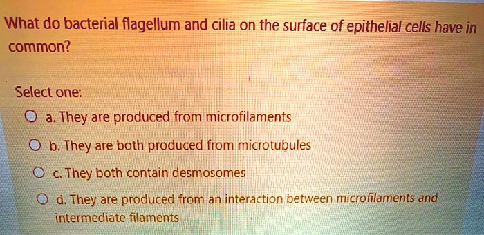 What do bacterial flagellum and cilia on the surface of epithelial cells have in
common?

Select one:
a. They are produced from microfilaments
b. They are both produced from microtubules
c. They both contain desmosomes
d. They are produced from an interaction between microfilaments and
intermediate filaments