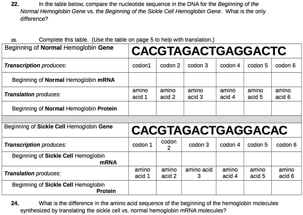 22 In the table below, compare the nucleotide sequence in the DNA for ...