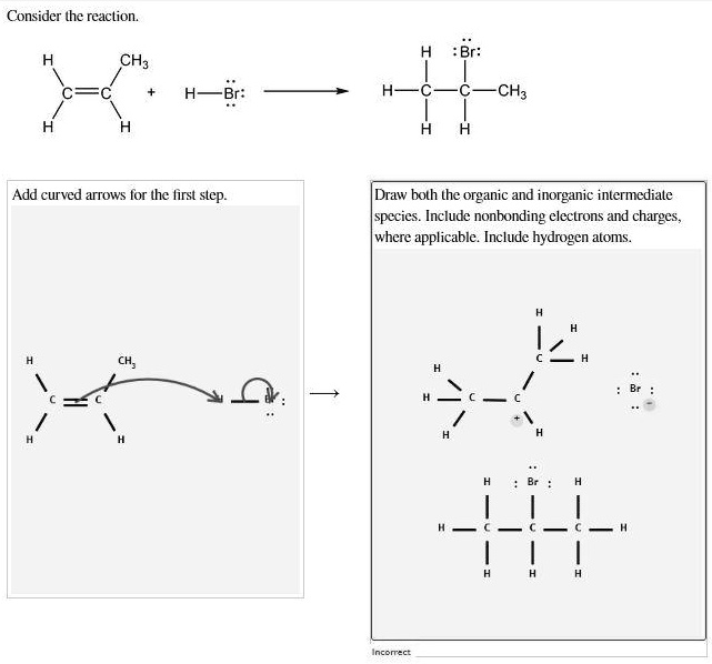 Consider the reaction.
Add curved arrows for the first step.
Draw both the organic and inorganic intermediate species. Include nonbonding electrons and charges, where applicable. Include hydrogen atoms.