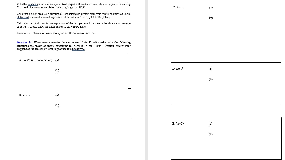 SOLVED Cells that contains a normal lac operon (wildtype) will