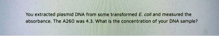 you extracted plasmid dna from some transformed e coli and measured the ...