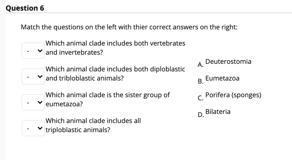 SOLVED: Question 6 Match the questions on the left with their correct