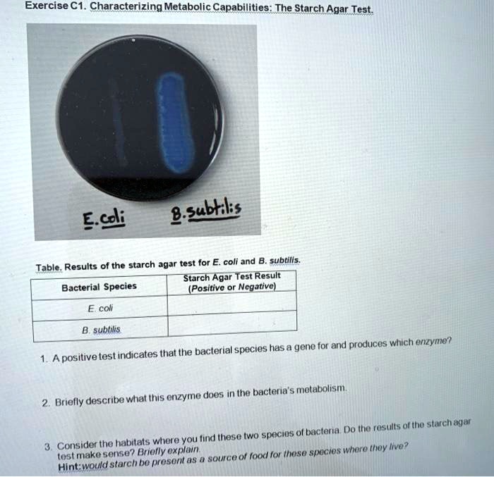 SOLVED Exercise C1. Characterizing Metabolic Capabilities The Starch