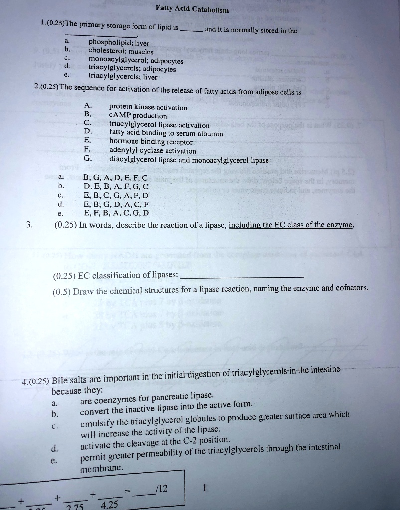 Fatty Acid Catabolism
1.(0.25)The primary storage form of lipid is  and it is normally stored in the .
a. phospholipid; liver
b. cholesterol; muscles
c. monoacylglycerol; adipocytes
d. triacylglycerols; adipocytes
e. triacylglycerols; liver
2.(0.25) The sequence for activation of the release of fatty acids from adipose cells is
A. protein kinase activation
B. cAMP production
C. triacylglycerol lipase activation
D. fatty acid binding to serum albumin
E. hormone binding receptor
F. adenylyl cyclase activation
G. diacylglycerol lipase and monoacylglycerol lipase
a. B, G, A, D, E, F, C
b. D, E, B, A, F, G, C
c. E, B, C, G, A, F, D
d. E, B, G, D, A, C, F
e. E, F, B, A, C, G, D
3. (0.25) In words, describe the reaction of a lipase, including the EC class of the enzyme.
(0.25) EC classification of lipases:
(0.5) Draw the chemical structures for a lipase reaction, naming the enzyme and cofactors.
4.(0.25) Bile salts are important in the initial digestion of triacylglycerols in the intestine because they:
a. are coenzymes for pancreatic lipase.
b. convert the inactive lipase into the active form.
c. emulsify the triacylglycerol globules to produce greater surface area which will increase the activity of the lipase.
d. activate the cleavage at the C-2 position.
e. permit greater permeability of the triacylglycerols through the intestinal membrane.