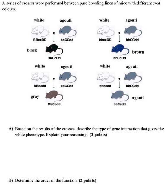 SOLVED A series of crosses were performed between pure breeding lines