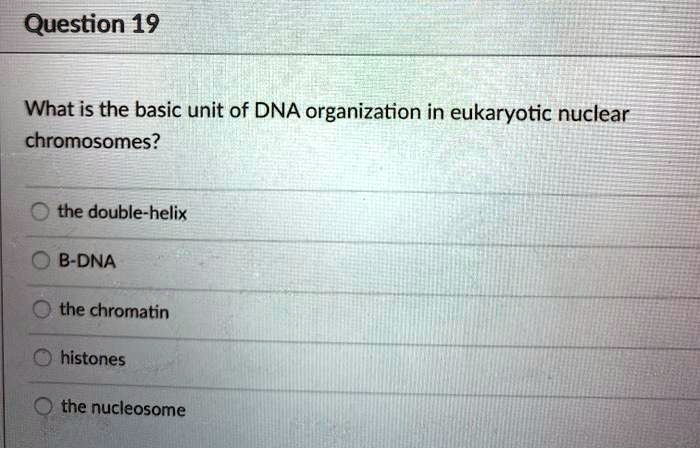 SOLVED: Question 19 What is the basic unit of DNA organization in ...