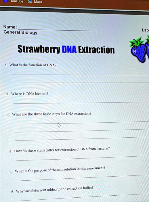 SOLVED YouTube Maps Name General Biology Lab Strawberry DNA