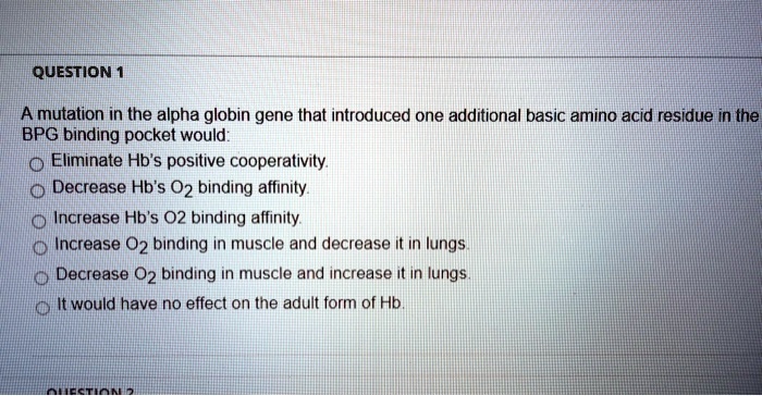 QUESTION 1
A mutation in the alpha globin gene that introduced one additional basic amino acid residue in the
BPG binding pocket would:
Eliminate Hb's positive cooperativity.
Decrease Hb's O2 binding affinity.
Increase Hb's O2 binding affinity.
Increase O2 binding in muscle and decrease it in lungs.
Decrease O2 binding in muscle and increase it in lungs.
It would have no effect on the adult form of Hb.
QUESTION 2