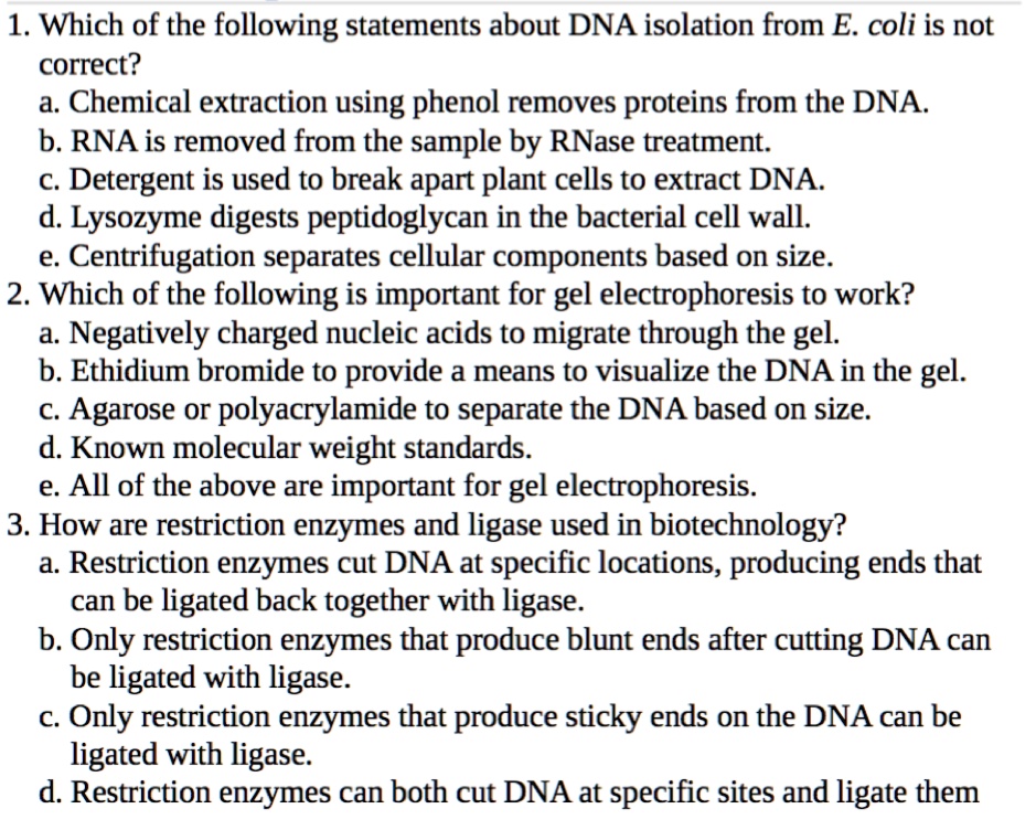 SOLVED 1 Which of the following statements about DNA isolation from E