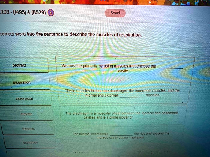 SOLVED Saved Correct word into the sentence to describe the muscles of