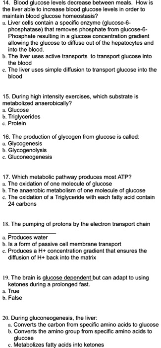 14. Blood glucose levels decrease between meals. How is
the liver able to increase blood glucose levels in order to
maintain blood glucose homeostasis?
a. Liver cells contain a specific enzyme (glucose-6-
phosphatase) that removes phosphate from glucose-6-
Phosphate resulting in a glucose concentration gradient
allowing the glucose to diffuse out of the hepatocytes and
into the blood.
b. The liver uses active transports to transport glucose into
the blood
c. The liver uses simple diffusion to transport glucose into the
blood

15. During high intensity exercises, which substrate is
metabolized anaerobically?
a. Glucose
b. Triglycerides
c. Protein

16. The production of glycogen from glucose is called:
a. Glycogenesis
b. Glycogenolysis
c. Gluconeogenesis

17. Which metabolic pathway produces most ATP?
a. The oxidation of one molecule of glucose
b. The anaerobic metabolism of one molecule of glucose
c. The oxidation of a Triglyceride with each fatty acid contain
24 carbons

18. The pumping of protons by the electron transport chain

a. Produces water
b. Is a form of passive cell membrane transport
c. Produces a H+ concentration gradient that ensures the
diffusion of H+ back into the matrix

19. The brain is glucose dependent but can adapt to using
ketones during a prolonged fast.
a. True
b. False

20. During gluconeogenesis, the liver:
a. Converts the carbon from specific amino acids to glucose
b. Converts the amino group from specific amino acids to
glucose
c. Metabolizes fatty acids into ketones