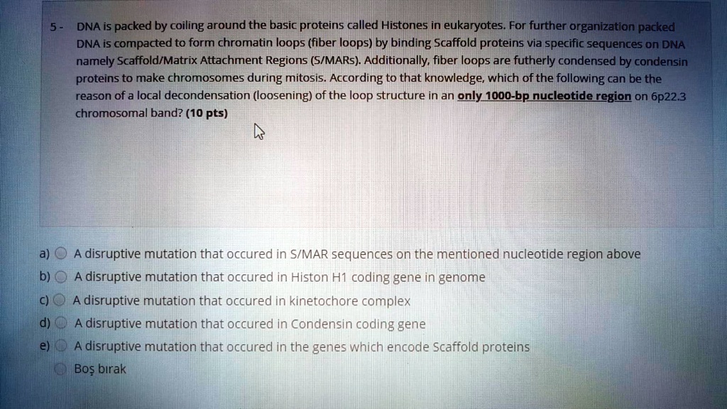 Nucleotide And Protein Sequences Determined For The Histone H2a X