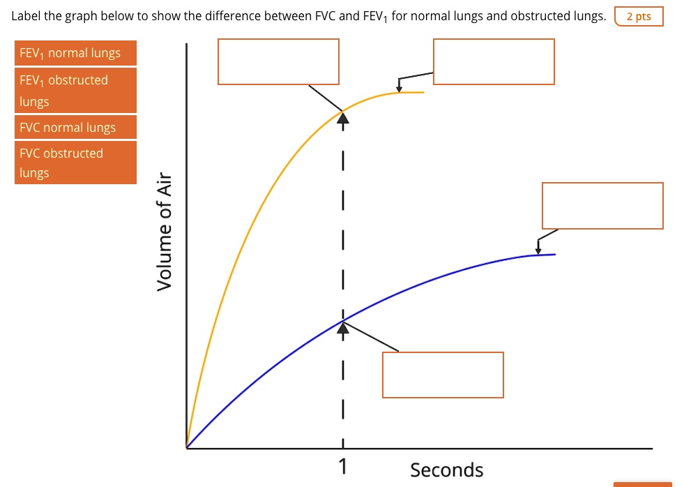 SOLVED Label The Graph Below To Show The Difference Between FVC And solved-label-the-graph-below-to-show-the-difference-between-fvc-and