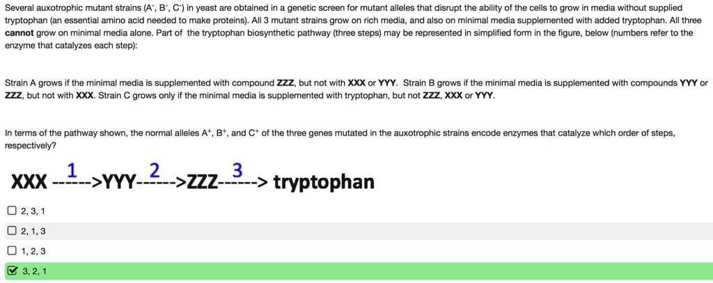 Several auxotrophic mutant strains (A?, B?, C?) in yeast are obtained in a genetic screen for mutant alleles that disrupt the ability of the cells to grow in media without supplied tryptophan (an essential amino acid needed to make proteins). All 3 mutant strains grow on rich media, and also on minimal media supplemented with added tryptophan. All three cannot grow on minimal media alone. Part of the tryptophan biosynthetic pathway (three steps) may be represented in simplified form in the figure, below (numbers refer to the enzyme that catalyzes each step):

Strain A grows if the minimal media is supplemented with compound ZZZ, but not with XXX or YYY. Strain B grows if the minimal media is supplemented with compounds YYY or ZZZ, but not with XXX. Strain C grows only if the minimal media is supplemented with tryptophan, but not ZZZ, XXX or YYY.

In terms of the pathway shown, the normal alleles A?, B?, and C? of the three genes mutated in the auxotrophic strains encode enzymes that catalyze which order of steps, respectively?

XXX –1–>YYY–2–>ZZZ–3–> tryptophan

2, 3, 1
2, 1, 3
1, 2, 3
3, 2, 1