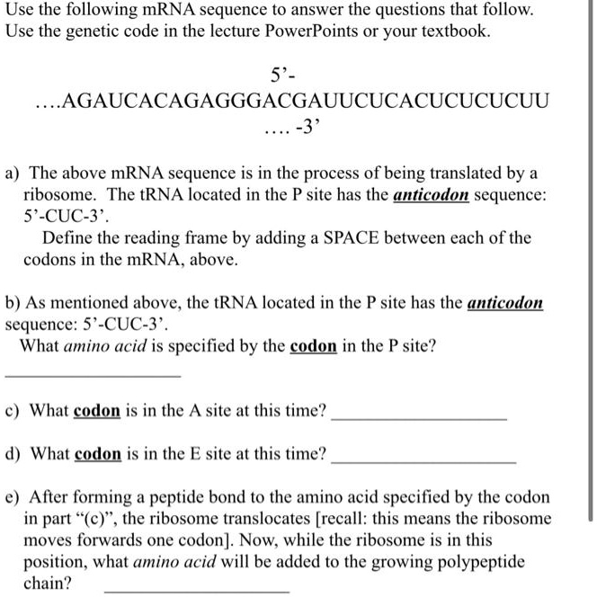 Use the following mRNA sequence to answer the questions that follow.
Use the genetic code in the lecture PowerPoints or your textbook.
5'-
....AGAUCACAGAGGGACGAUUCUCACUCUCUCUU
.... -3'
a) The above mRNA sequence is in the process of being translated by a
ribosome. The tRNA located in the P site has the anticodon sequence:
5'-CUC-3'.
Define the reading frame by adding a SPACE between each of the
codons in the mRNA, above.
b) As mentioned above, the tRNA located in the P site has the anticodon
sequence: 5'-CUC-3'.
What amino acid is specified by the codon in the P site?
c) What codon is in the A site at this time?
d) What codon is in the E site at this time?
e) After forming a peptide bond to the amino acid specified by the codon
in part "(c)", the ribosome translocates [recall: this means the ribosome
moves forwards one codon]. Now, while the ribosome is in this
position, what amino acid will be added to the growing polypeptide
chain?