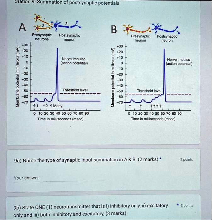 SOLVED Action Potential Summation of Postsynaptic Potentials A