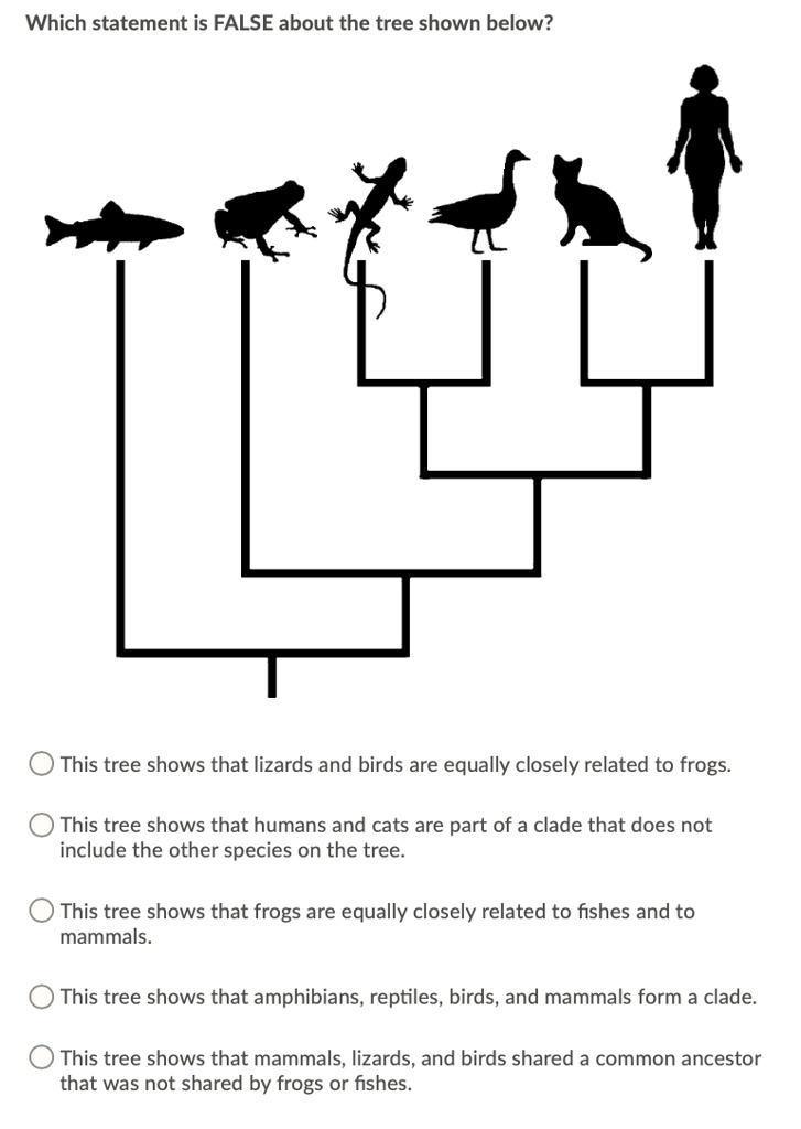 SOLVED: Which statement is FALSE about the tree shown below? This tree