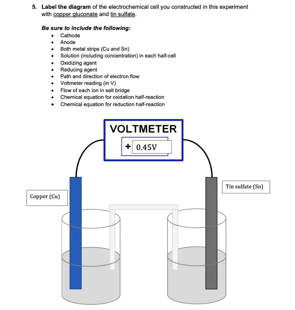 SOLVED Label the diagram of the electrochemical cell you constructed