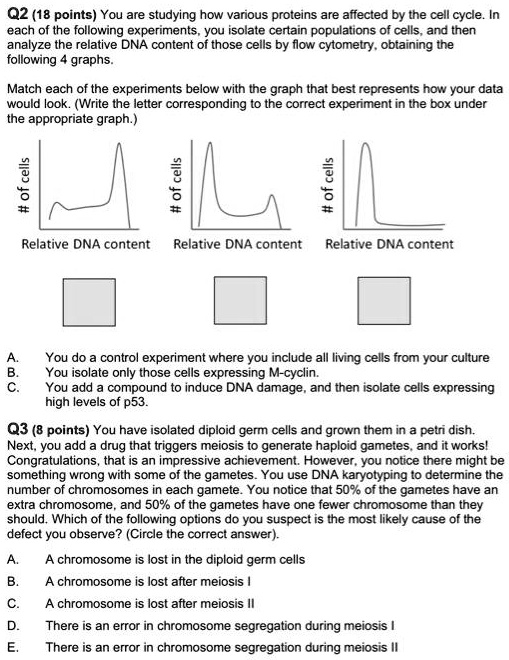 Q2 (18 points) You are studying how various proteins are affected by the cell cycle. In each of the following experiments, you isolate certain populations of cells, and then analyze the relative DNA content of those cells by flow cytometry, obtaining the following 4 graphs.

Match each of the experiments below with the graph that best represents how your data would look. (Write the letter corresponding to the correct experiment in the box under the appropriate graph.)

# of cells
Relative DNA content
# of cells
Relative DNA content
# of cells
Relative DNA content

A. You do a control experiment where you include all living cells from your culture
B. You isolate only those cells expressing M-cyclin.
C. You add a compound to induce DNA damage, and then isolate cells expressing high levels of p53.

Q3 (8 points) You have isolated diploid germ cells and grown them in a petri dish. Next, you add a drug that triggers meiosis to generate haploid gametes, and it works! Congratulations, that is an impressive achievement. However, you notice there might be something wrong with some of the gametes. You use DNA karyotyping to determine the number of chromosomes in each gamete. You notice that 50% of the gametes have an extra chromosome, and 50% of the gametes have one fewer chromosome than they should. Which of the following options do you suspect is the most likely cause of the defect you observe? (Circle the correct answer).

A. A chromosome is lost in the diploid germ cells
B. A chromosome is lost after meiosis I
C. A chromosome is lost after meiosis II
D. There is an error in chromosome segregation during meiosis I
E. There is an error in chromosome segregation during meiosis II