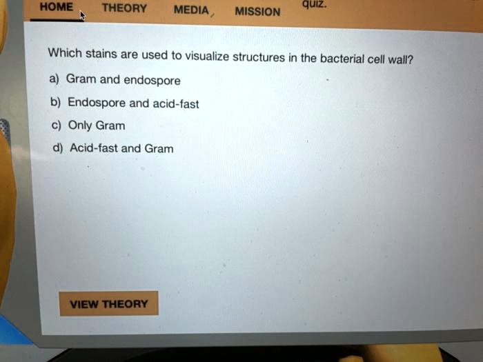 SOLVED: HOME Theory MEDIA MiSSION Quiz; Which Stains Are Used To ...