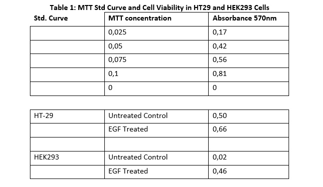 Table 1: MTT Std Curve and Cell Viability in HT29 and HEK293...