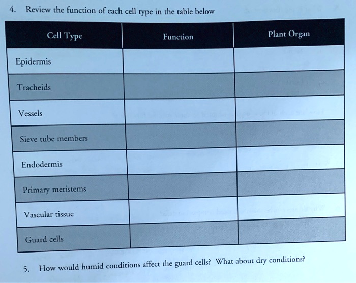 SOLVED Revicw the function of each cell type in the table below Cell
