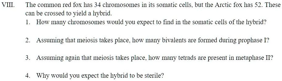 SOLVED: VIII The common red fox has 34 chromosomes in its somatic cells