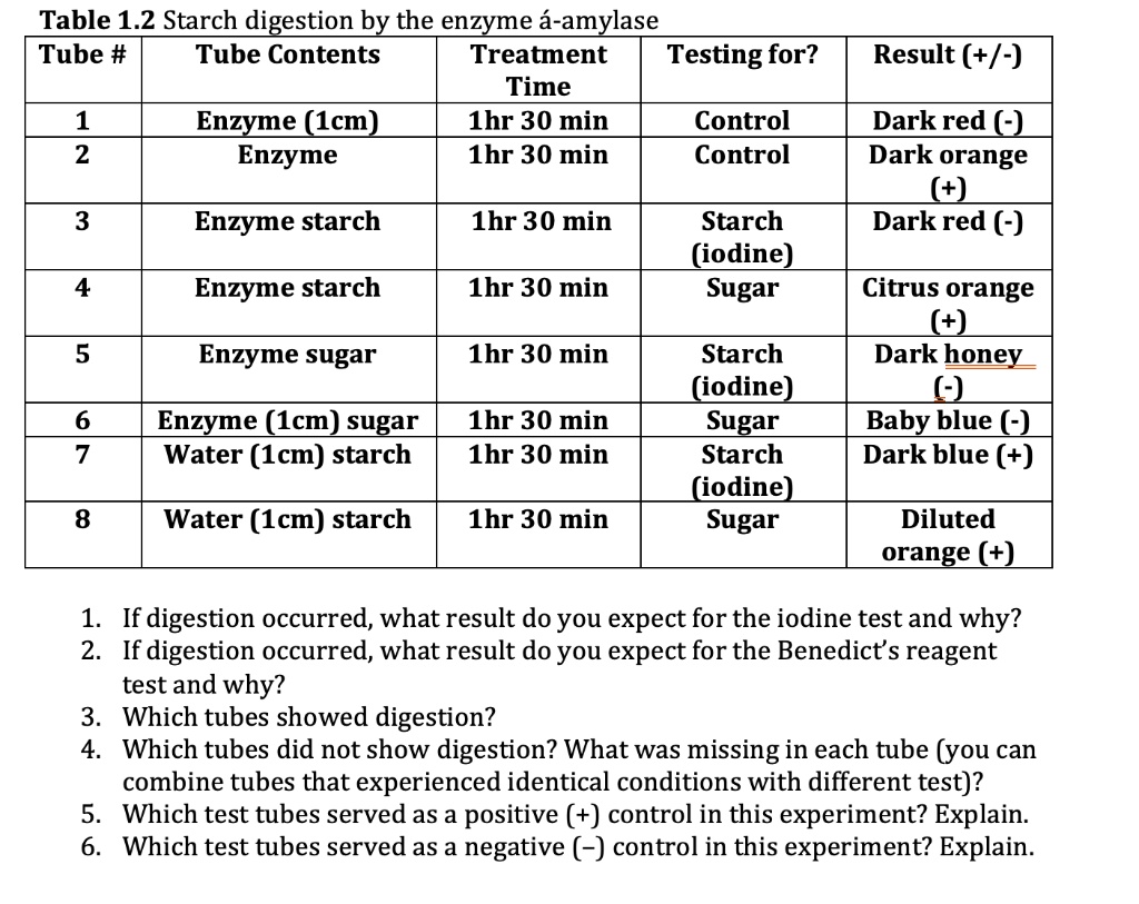 SOLVED Table 1.2 Starch digestion by the enzyme Î±amylase Tube