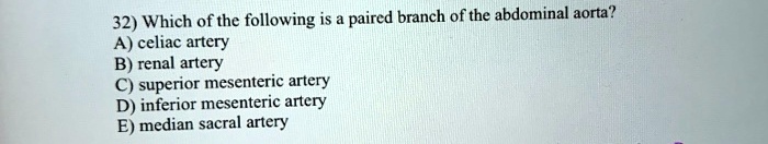 32) Which of the following is a paired branch of the abdominal aorta?
A) celiac artery
B) renal artery
C) superior mesenteric artery
D) inferior mesenteric artery
E) median sacral artery
