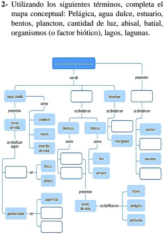 SOLVED: ayuda plis 5 estrellas 2- Utilizando los siguientes términos ...