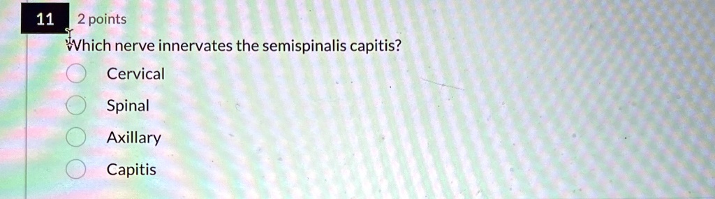 11
2 points
Which nerve innervates the semispinalis capitis?
? Cervical
? Spinal
? Axillary
? Capitis
