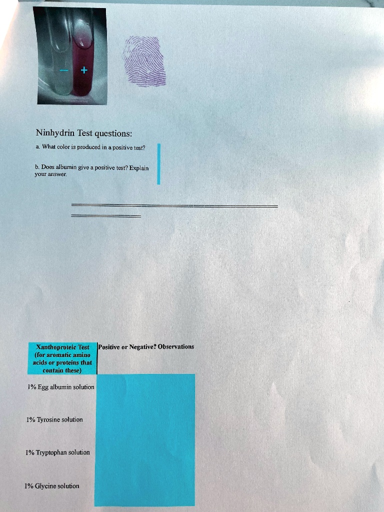 SOLVED Ninhydrin Test questions What color is produced in a positive