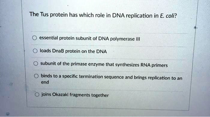 SOLVED: The Tus protein has which role in DNA replication in E coli ... 