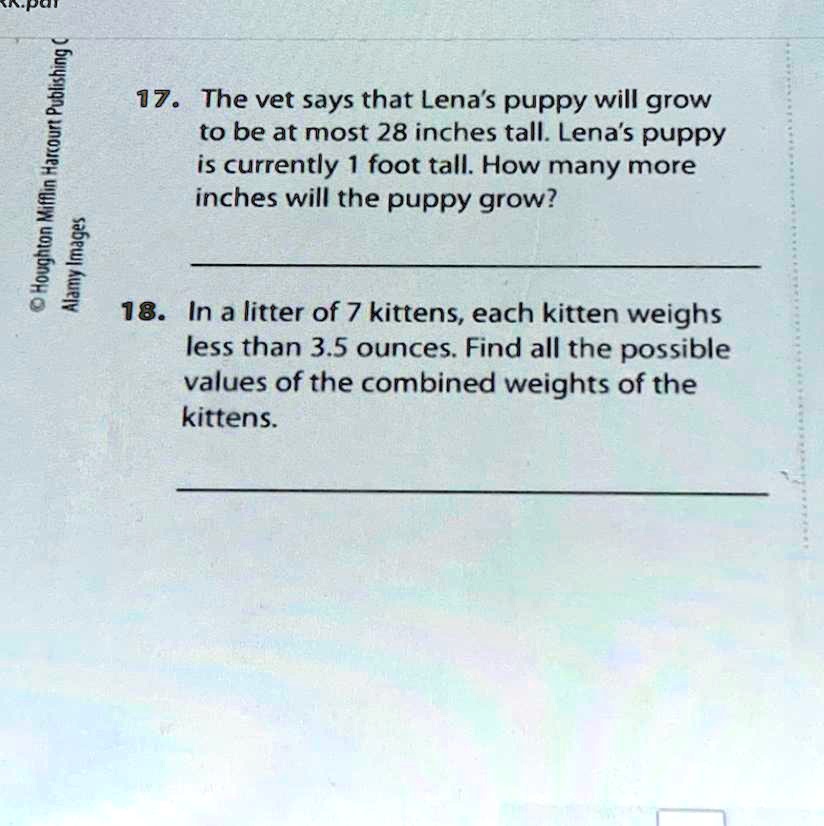 In a litter of 7 kittens 2025 each kitten weighs