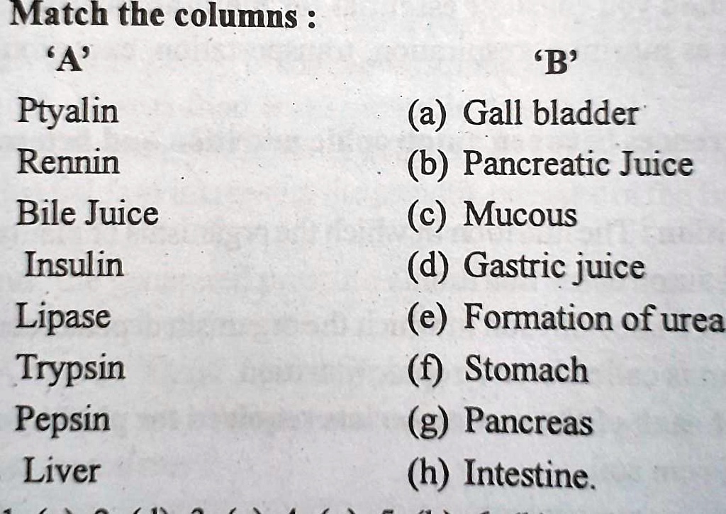 SOLVED "HOW MANY KNOW........ Match the columns 'A' ” Ptyalin Rennin