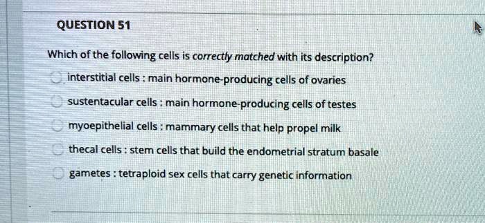 Solved Which Of The Following Cells Is Correctly Matched With Its Description Interstitial