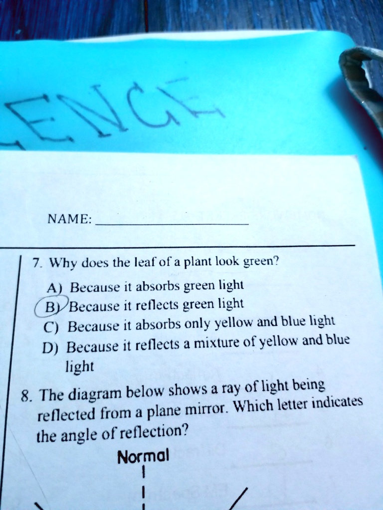 SOLVED 'Why does the leaf of a plant look green? NAME Why does the