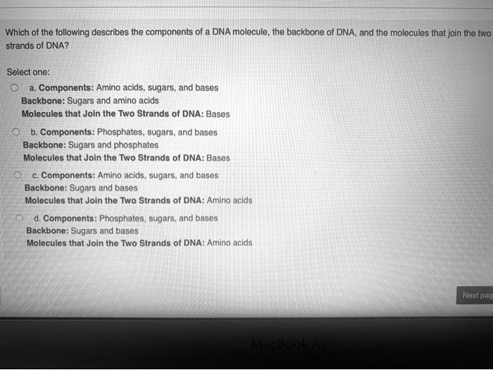 which of the following describes the components of dna moleculo the ...