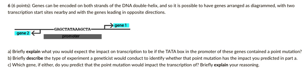 6 (6 points): Genes can be encoded on both strands of the DNA double-helix, and so it is possible to have genes arranged as diagrammed, with two transcription start sites nearby and with the genes leading in opposite directions.

gene 1
gene 2
GAGCTATAAAGCTA
promoter

a) Briefly explain what you would expect the impact on transcription to be if the TATA box in the promoter of these genes contained a point mutation?
b) Briefly describe the type of experiment a geneticist would conduct to identify whether that point mutation has the impact you predicted in part a.
c) Which gene, if either, do you predict that the point mutation would impact the transcription of? Briefly explain your reasoning.