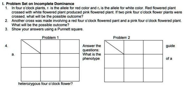 I. Problem Set on Incomplete Dominance 1. In four o'clock plants, r. is ...
