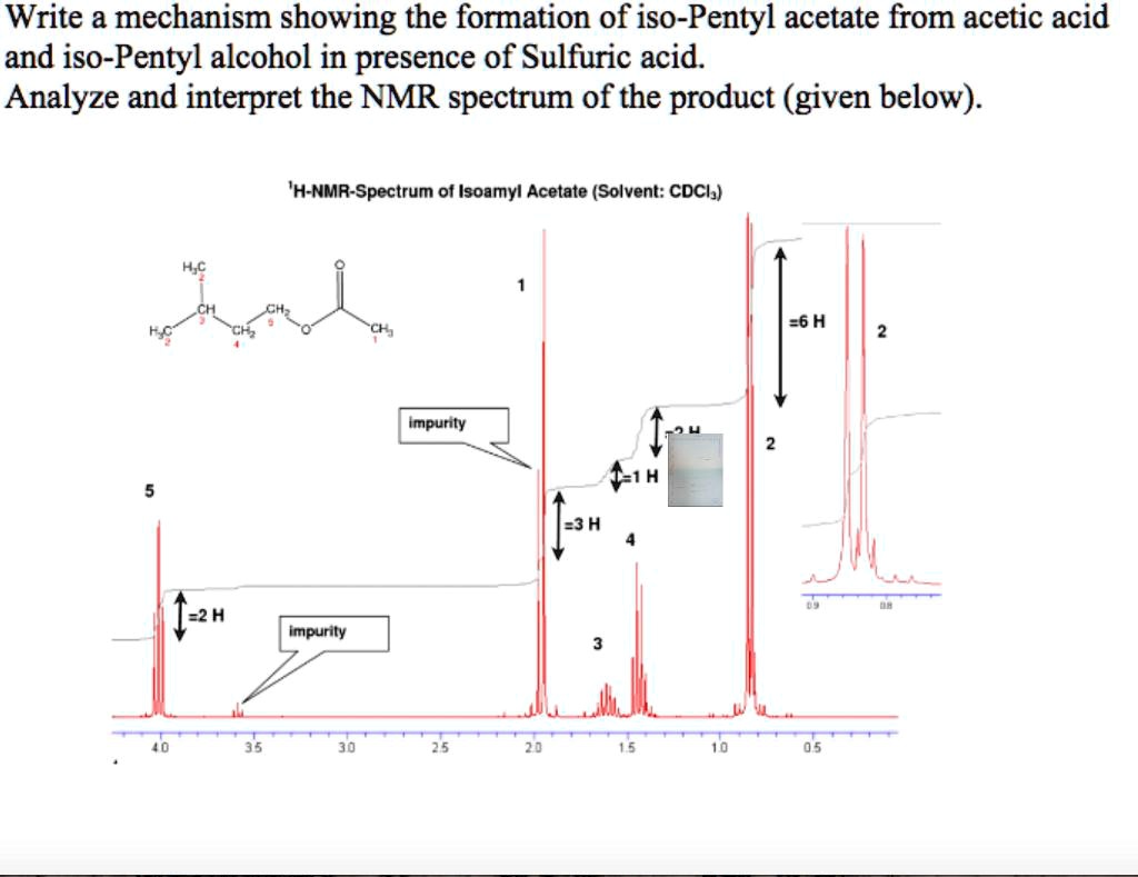 SOLVED Write a mechanism showing the formation of isoPentyl acetate
