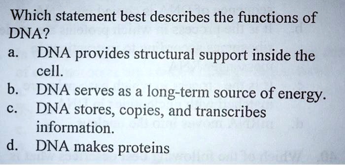 SOLVED: Which statement best describes the functions of DNA? a DNA ...