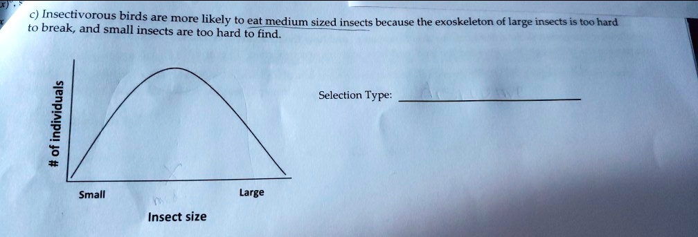 c) Insectivorous birds are more likely to eat medium sized insects because the exoskeleton of large insects is too hard
to break, and small insects are too hard to find.
# of individuals
Small
Large
Insect size
Selection Type: