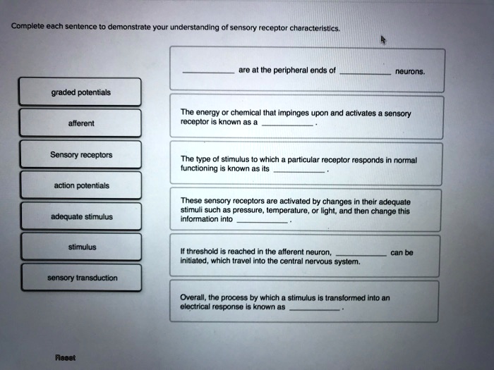 characteristics of graded potentials