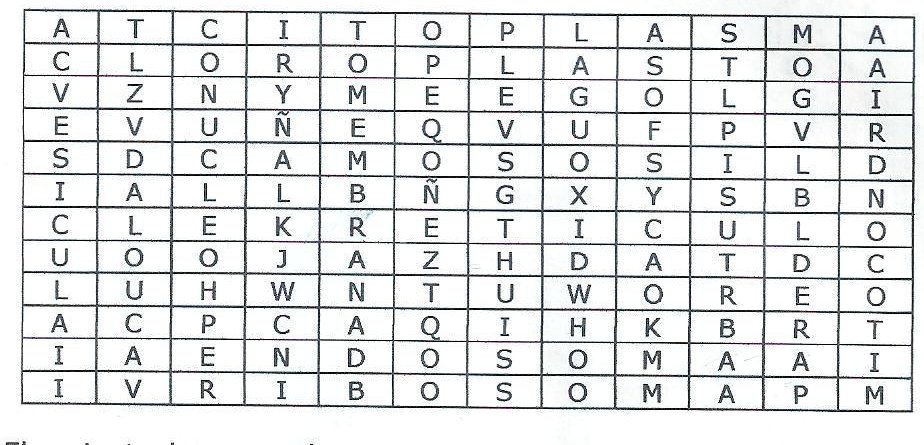 Solved: Localiza En La Sopa De Letras 12 Palabras Sobre La ComposiciÓn 